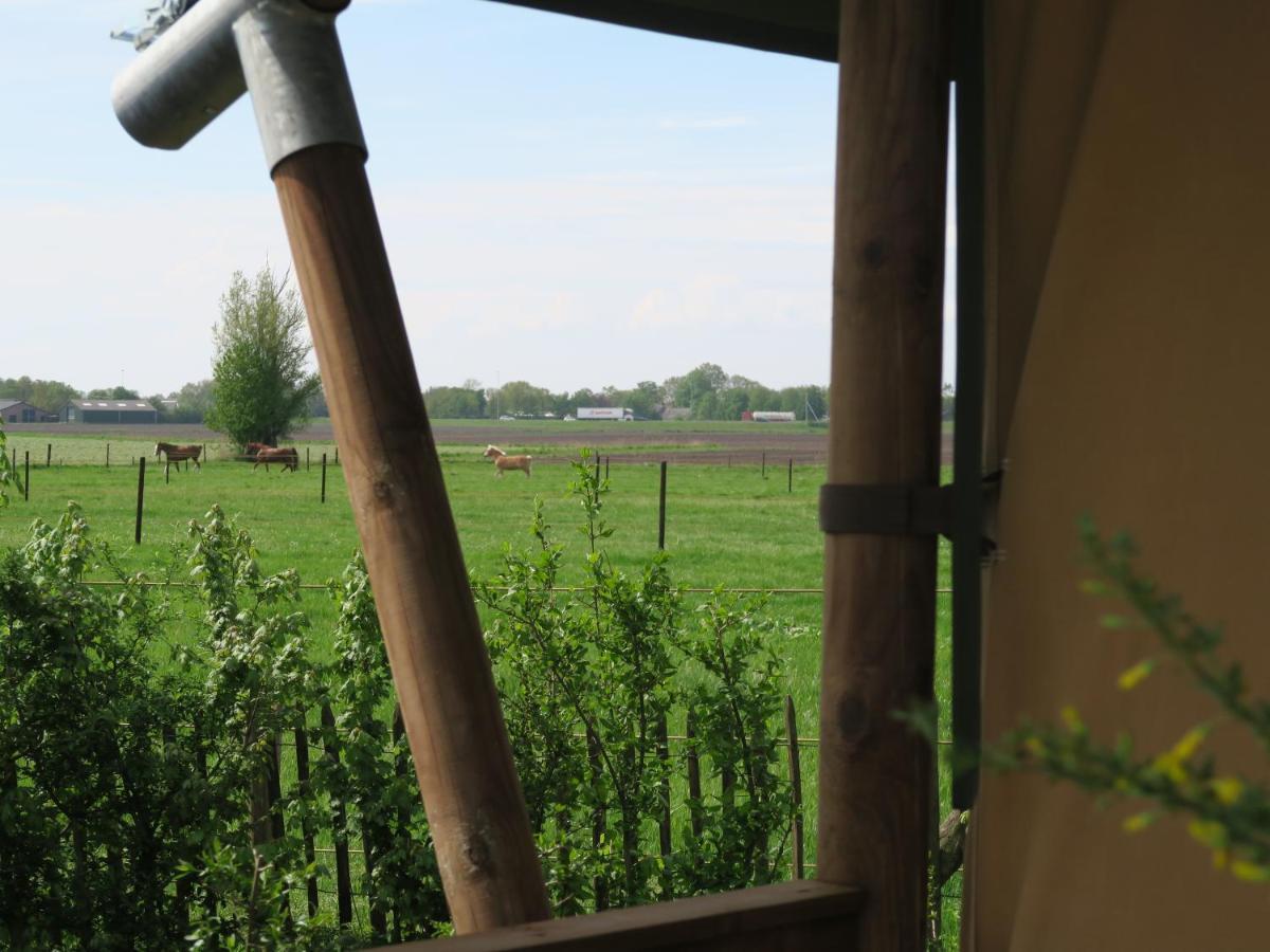 Luxe Safaritenten Petit013 - Nieuw Tilburg Zewnętrze zdjęcie