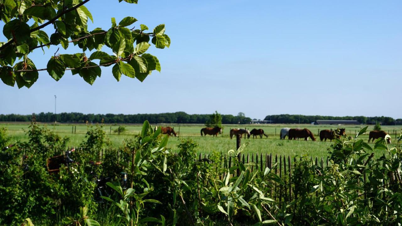 Luxe Safaritenten Petit013 - Nieuw Tilburg Zewnętrze zdjęcie