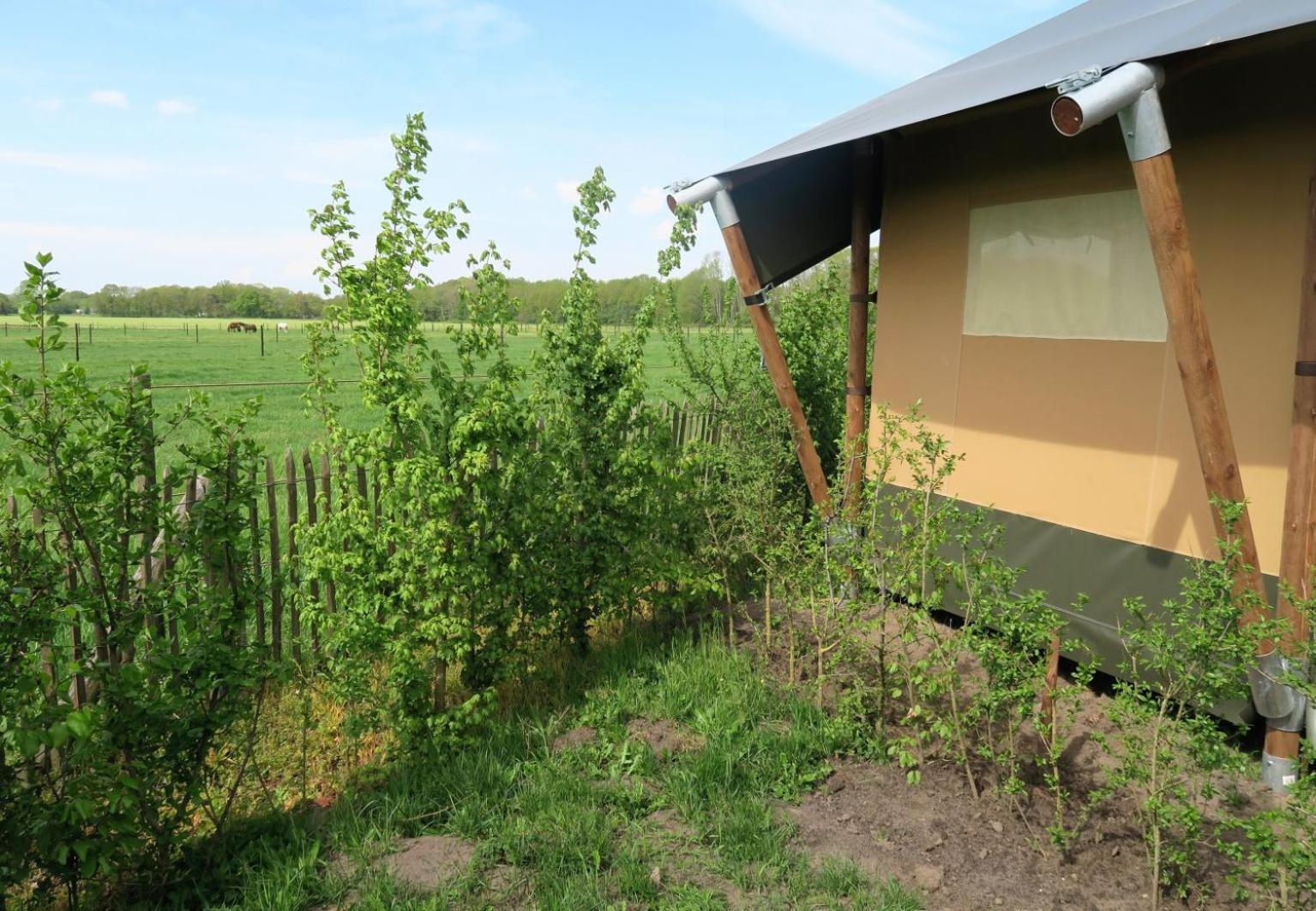 Luxe Safaritenten Petit013 - Nieuw Tilburg Pokój zdjęcie